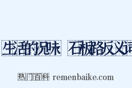 生活的况味·石板路反义词是什么意思的图片